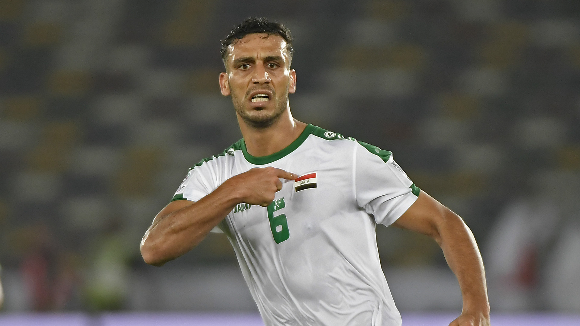 活机动的进 活机动的进